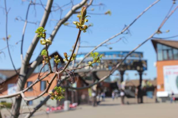 ������� ���������� ������!