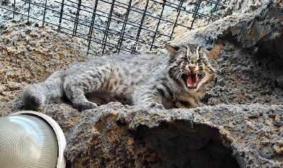 ��������� ����������, ������� �������� � ������� ������!