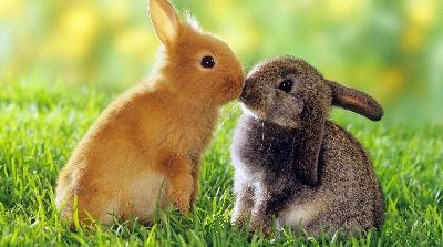 ������ ��������� � ���, ��� �� ��������� ���������� �� ������ ��������� ��������� ?