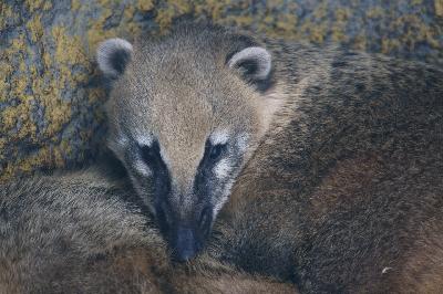 ��������� � ������ ������