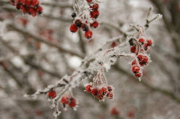 ��������� ���� ������������!