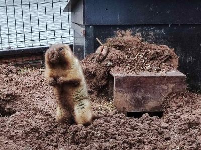 �������� ����� ������������