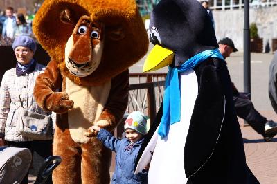 ���� �������� � ��������