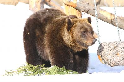 ������� �������!