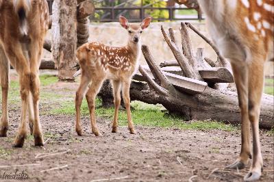 ���������� ������������� ��������� �� 1 ���