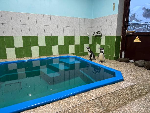 �� ���� � ������