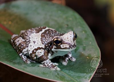 ������� �� "���� ��������"