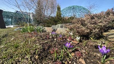 �������������� �������