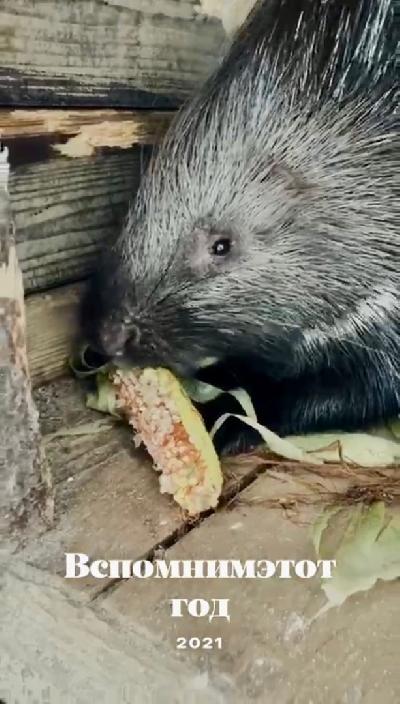 ��� ���� ��� ������, �������� ����� ���� ���� ������������!