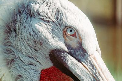 ������� - ����� ���������� ������ � ���������� ��������