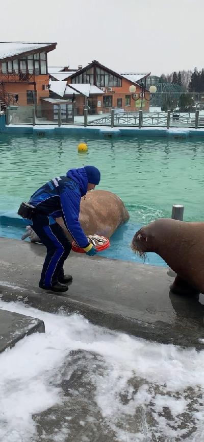 ������� �������� ��������� ���������� � ����������!