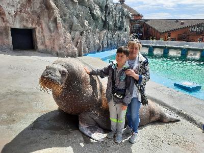 �� �������� ����� VIP-������������ �� ������!