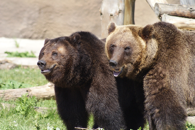 ������������� ��������� ���� ��� � �������� ��������!