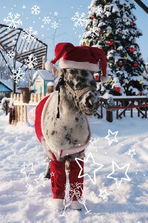 � ����� �����!