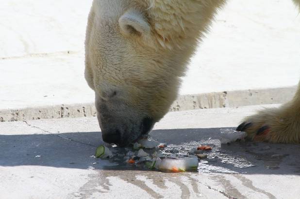 ��������� ���� ����������!