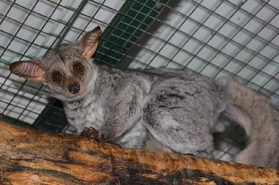 ������ - �������, ������� ������ ����� �����! 