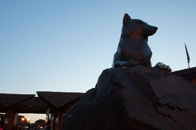 �����: ����� ����� ���� ����!