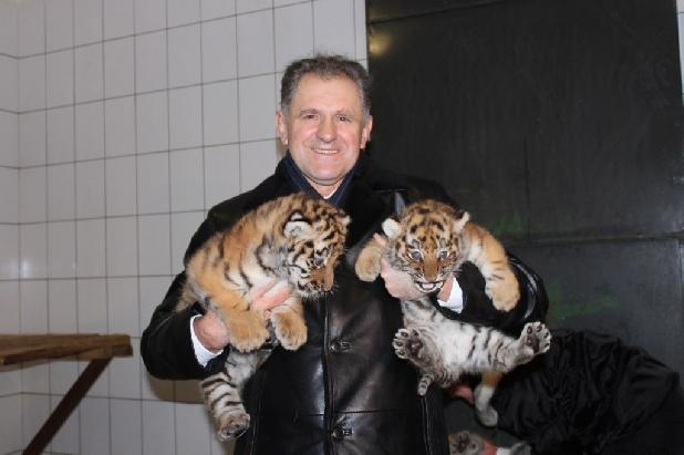 �� ������