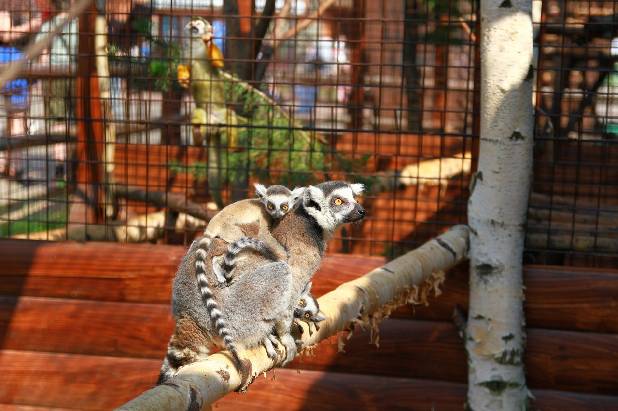 ���������� � ��������!