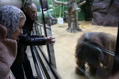 ������� �������� ������!