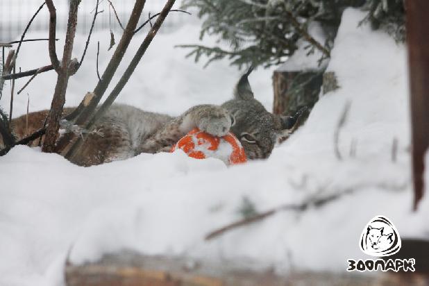 ������������ ����������� ������� �����! 