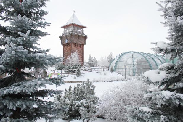 ������� �������� ����������� ���� � ����������� 2026 �����!