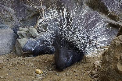 �������� � ������?