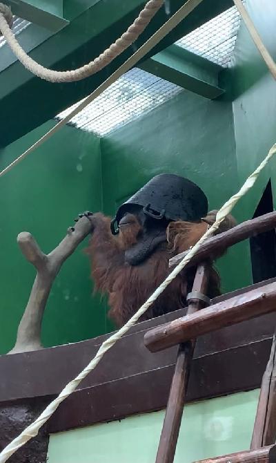 ��������, � ������ �������� ����� ����� � ����! 