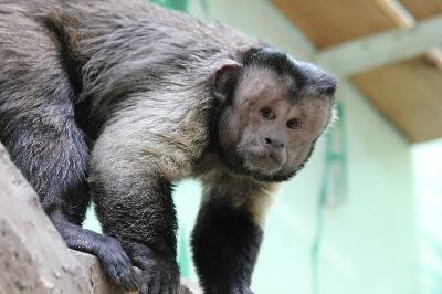 �������-����