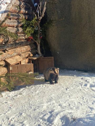 ����� ��� �����!!!