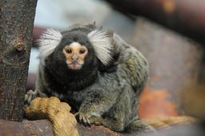 ���� ������ ���������� �� � ����, � � �������� ��������!