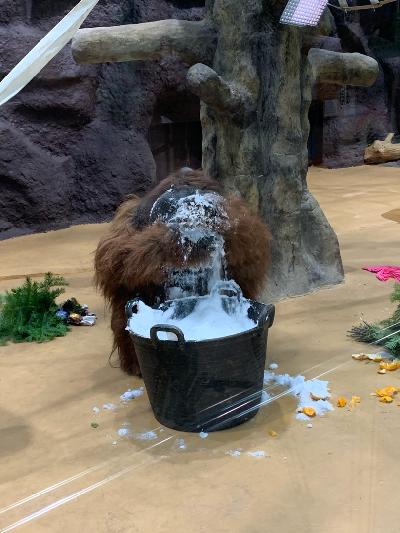 14 ������� � ������������� ���� �������! 