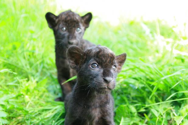 ���������� � ��������!