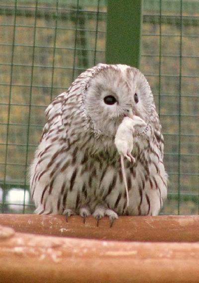 ���������� ������������� ��������� �� 13 �����