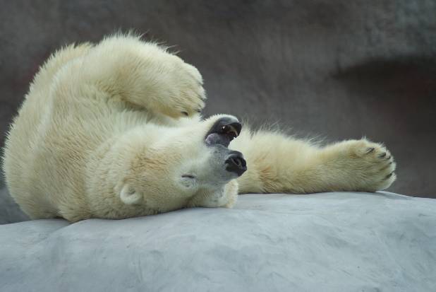 ������ ����������!