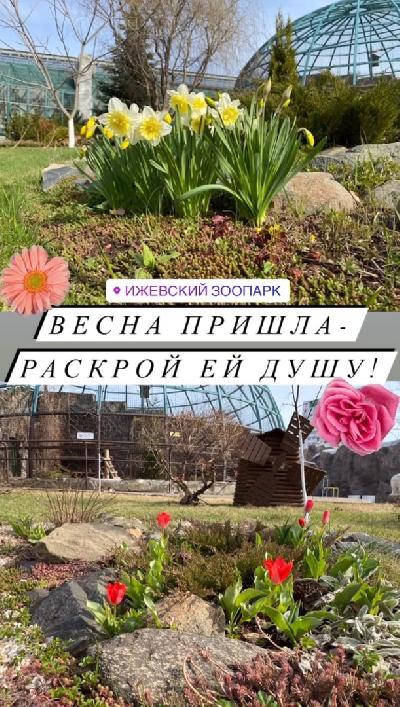  ������� ������� ���������, � ��� ������, ��� ����� ����� ����������� �� �������� �������� � �������!