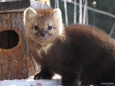 ������ � ������� ������ 