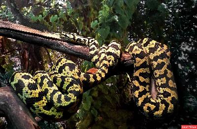 ������������ � �������� ������ �����