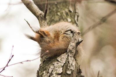 ������ ����! �� ������� �� ������� ������? ������ ����������� �������� ��� ������������� ����� �������� � �������?