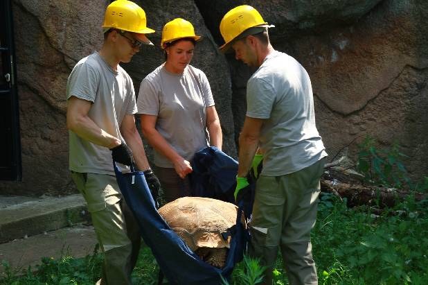 ���� � ��������!