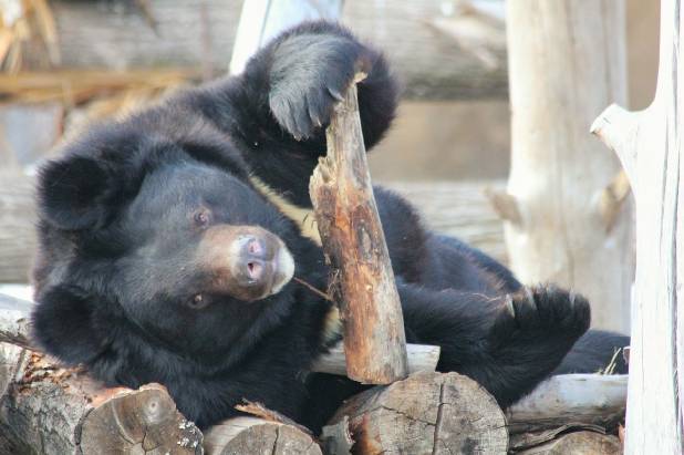 ������� � ���� �������! 