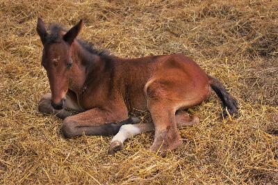 ������ ����! ���� ������� ���������? ���� ������� ��������� ����� � ��� ������ � ����� ������������ � �����������!