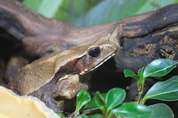 ������ ����������!