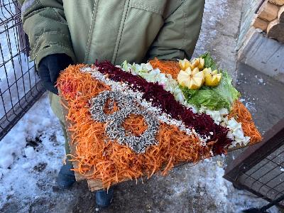 ����� ��������