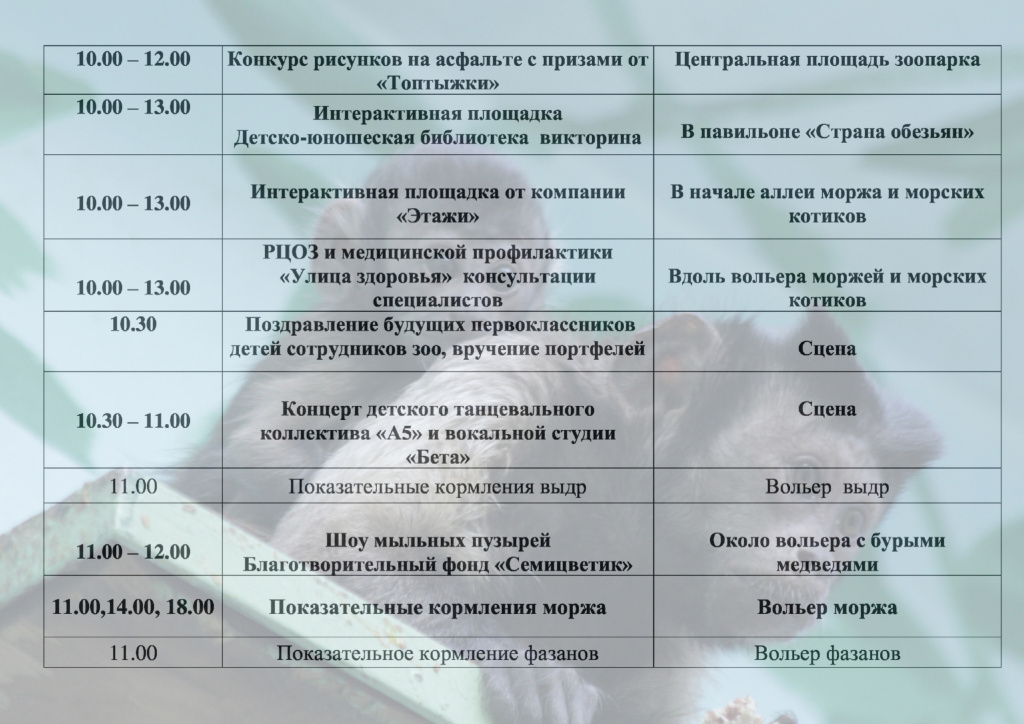 oAR6YsmLgQNl9Yu73bJTcdhez2Q-N-s0VLNnVudT7-8738-7h7i19BtikMoalHmF-6B_PPmY6_PZf7B1hmWpx01X.jpg