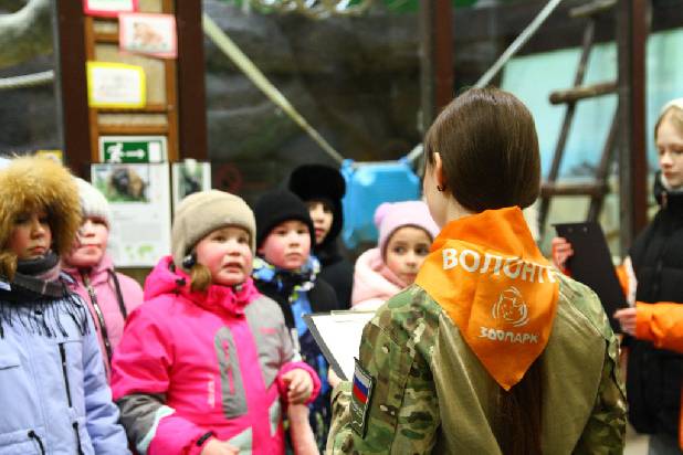 "�������"-2026. ��� ��� ����.