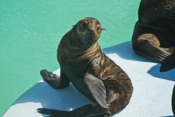 �������� ������� �����