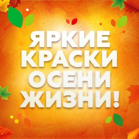 VI ��������������� ��������� ������ ������ ����� �����