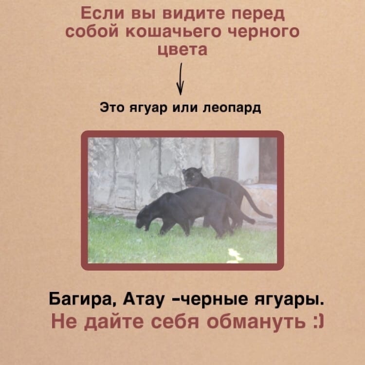 nDsTXmcCDnWoF9U-loKXHzI3V3xpCSrwRMyspl_Clzy_f4StmGn3yzlf9_xWO6yxmPn6YedYe5tpdrM4aH7XBzE_.jpg