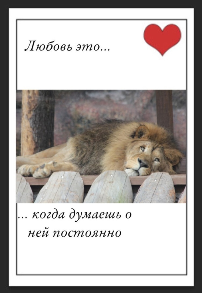 zgPKCaavNXshn2J_eJf_d_s_6kPR9XfpuTOXtXNzre-Y8aWtGAH0XzaA4uhsBDVsHmbA7uxzW2yLLZWogUsBpbOy.jpg